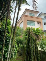 Gerald Drive (D28), Terrace #503534051